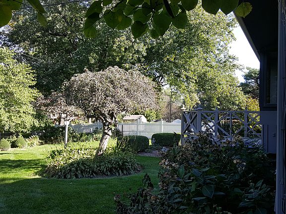 5th image of 9822 Louis Dr