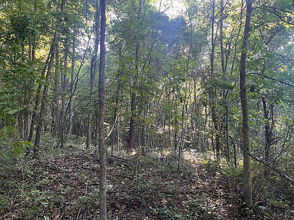 2nd image of 0 Old Dixon Rd