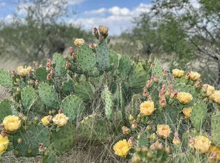 Tbd E Vanessa Way, Oracle, AZ 85623