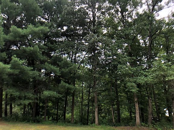 4th image of 365 Circle Dr