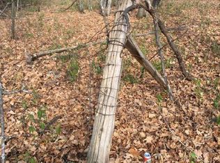 Tbd State Hwy #18, East Side Twp, MN 56342