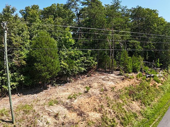 3rd image of LOT 2 Flat Woods Rd