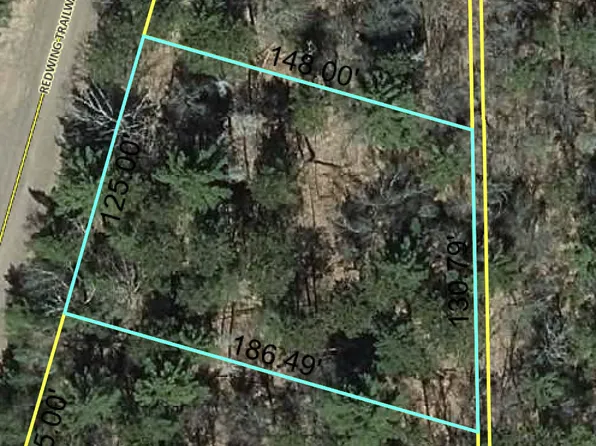 89 Red Wing Trail Way, Danbury, WI 54830