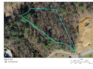 LOT 9 Blue Mountain Rd, Wilkesboro, NC 28697