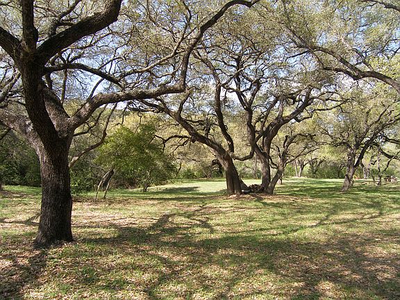 Private park by the creek
