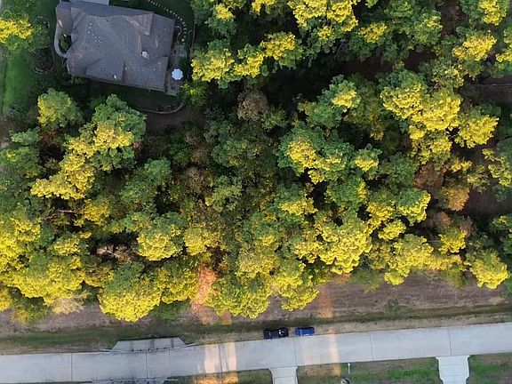 4th image of 11015 Branch Creek Court
