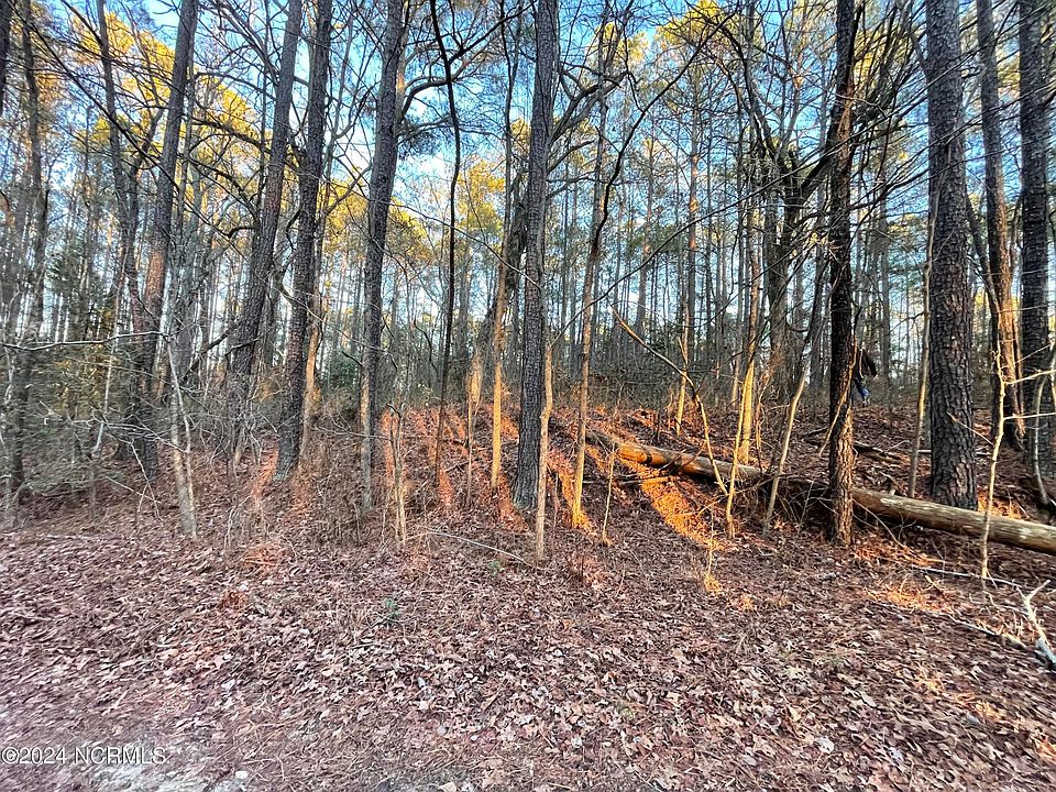 2nd image of 1061 Loblolly Drive