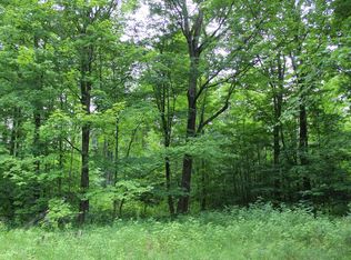 V/l 10ac Beasley Ave, Grayling, MI 49738