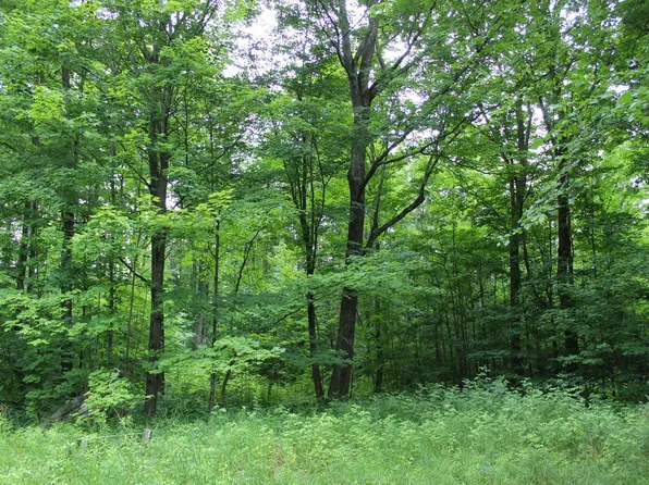 V/l 10ac Beasley Ave, Grayling, MI 49738