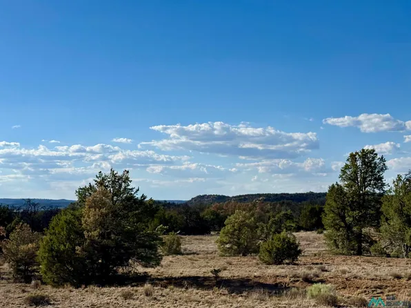 Wilderness Rd, Ramah, NM 87321