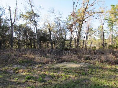 1255 W Nankeen Dr, Citrus Springs, FL, 34434