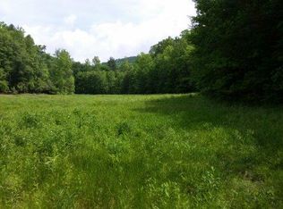 199 Lucius Ln, Cherry Log, GA 30522