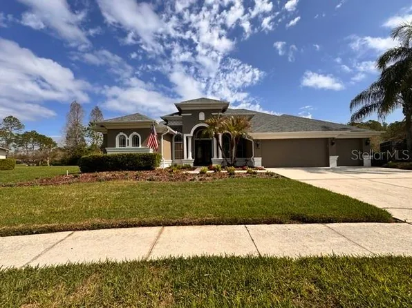 23534 Gracewood Cir, Land O Lakes, FL 34639