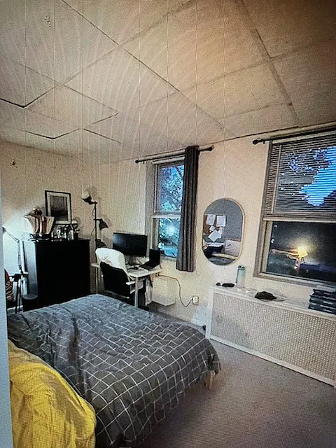1 bed, 500 sqft, $1,235 — Photo 4
