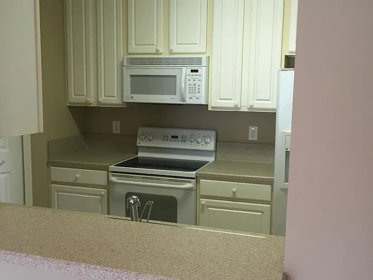 7801 Point Meadows Dr #7203 — Photo 3