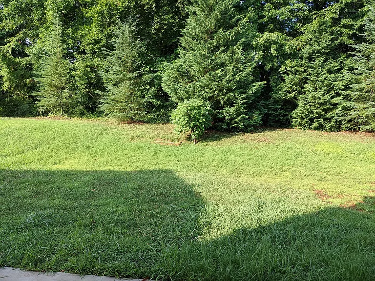 6515 Eastfield Park Dr — Photo 14