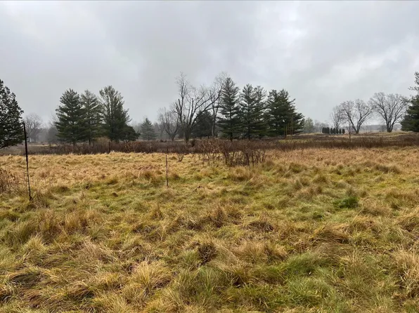 Dog Leg Dr, Bronson, MI 49028