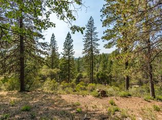 1230 Forest View Dr, Meadow Vista, CA 95722