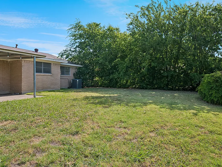 Backyard