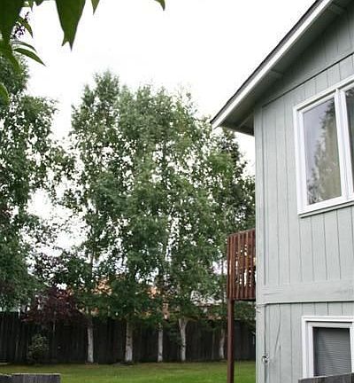 Large back yard