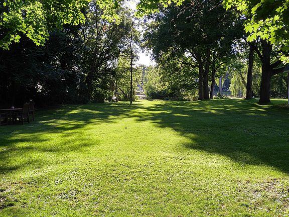 Sunny backyard