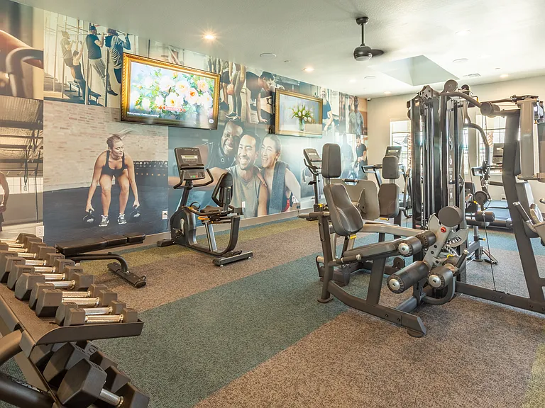 Village at Skyline Ranch — Photo 81