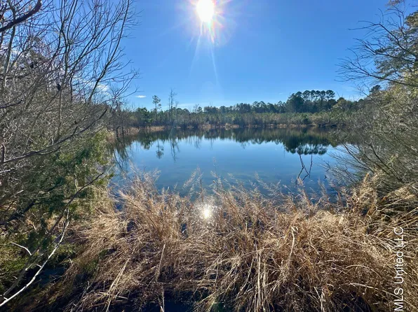 0 Bluff Springs Rd, Gloster, MS 39638