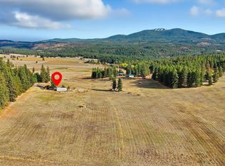 8920 E Schwachtgen Branch Rd, Chattaroy, WA 99003