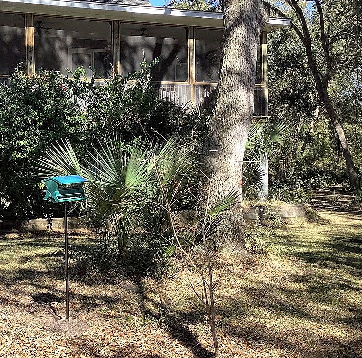 Back of the house
