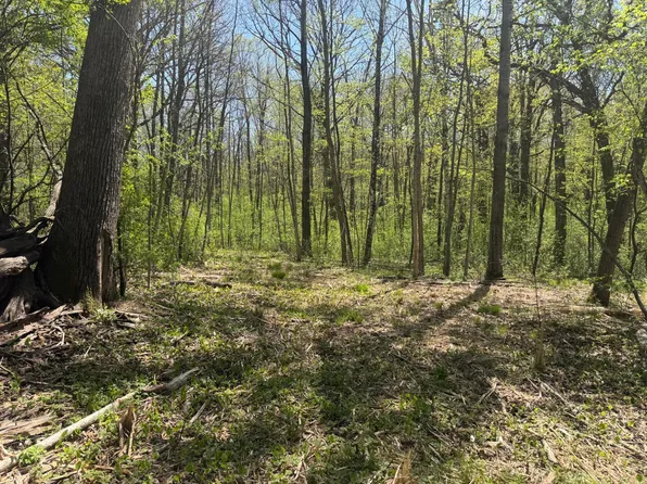 State Highway 46 N, Balsam Lake, WI 54810