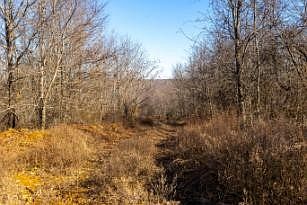 3rd image of 0 White Oak Rd Lot 17