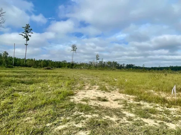 1072 Teal McDaniel Rd, Pine Grove, LA 70453
