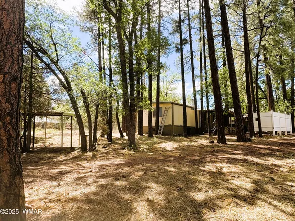 1816 Larson Rd, Lakeside, AZ 85929