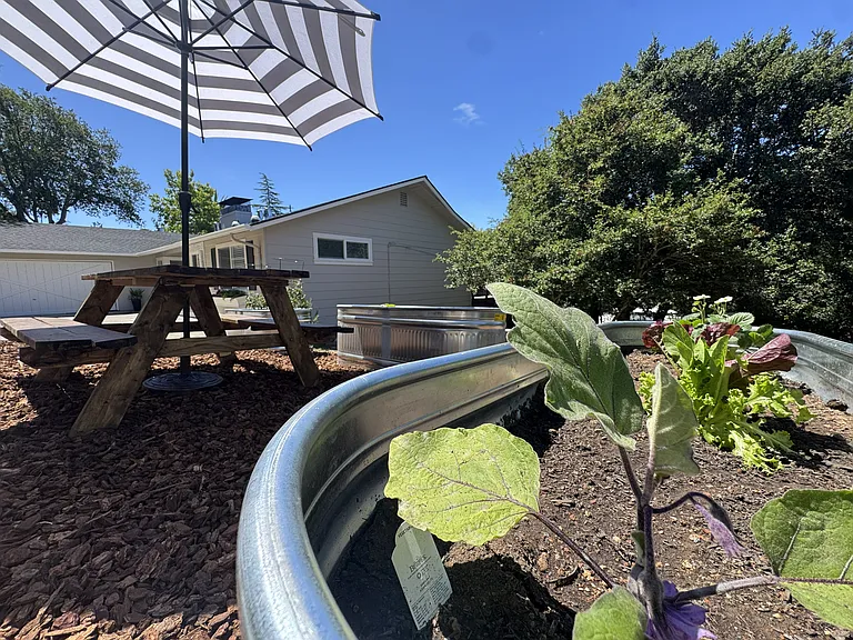 the veggies are waiting.