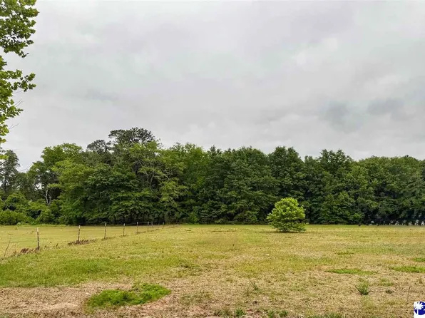LOT 17 Treasure Cv, Latta, SC 29565