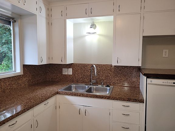 kitchen with raised dishwasher, garbage disposal, new high arch faucet, newly painted cabinets