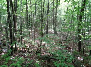 Tioga Patten Rd, Hill, NH 03243