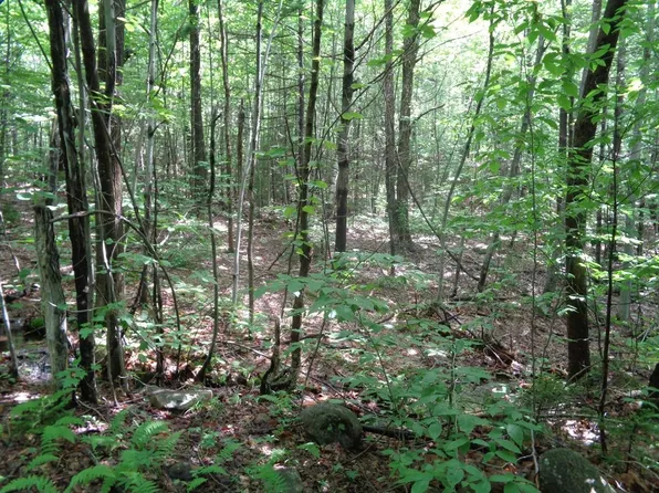 Tioga/Patten Road, Hill, NH 03243