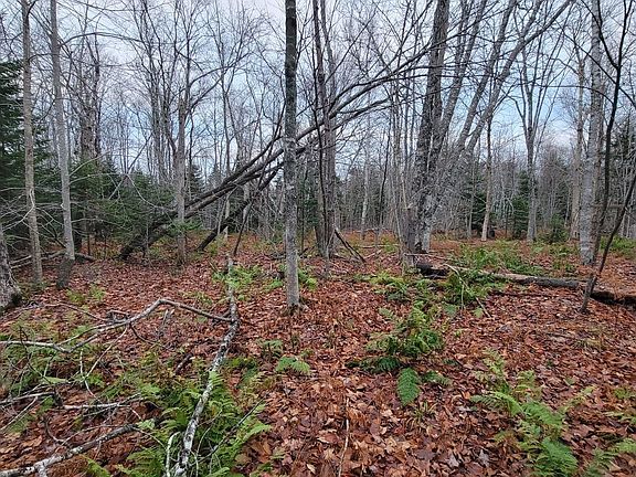 5th image of 125 Cumberland Line Rd