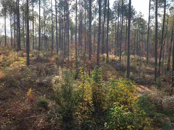 Fm 123, De Berry, TX 75639