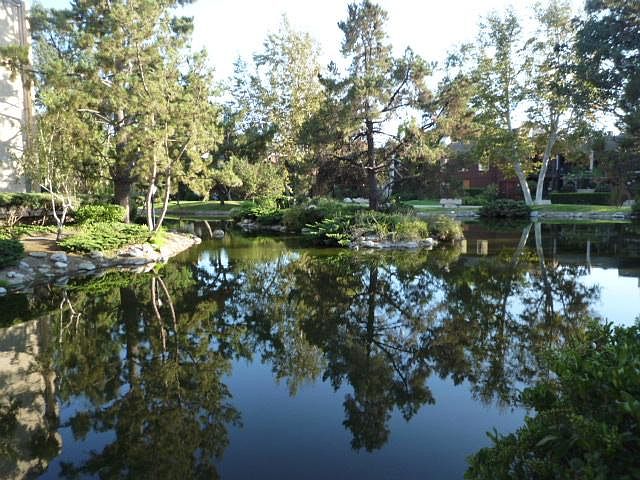 1st image of 14207 Summertime Ln #207