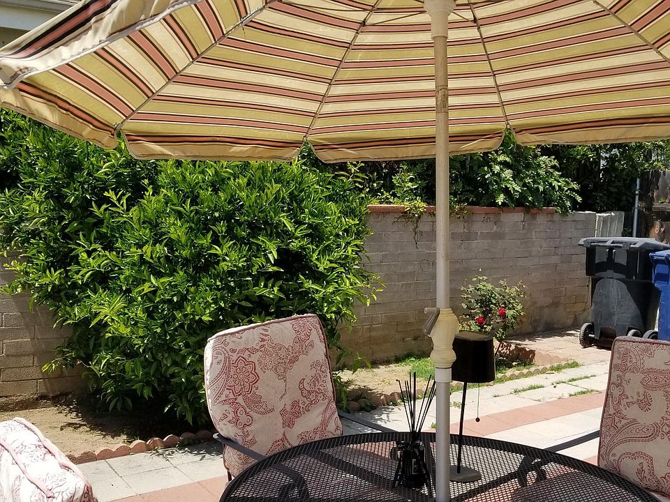 Back yard with fruit tree