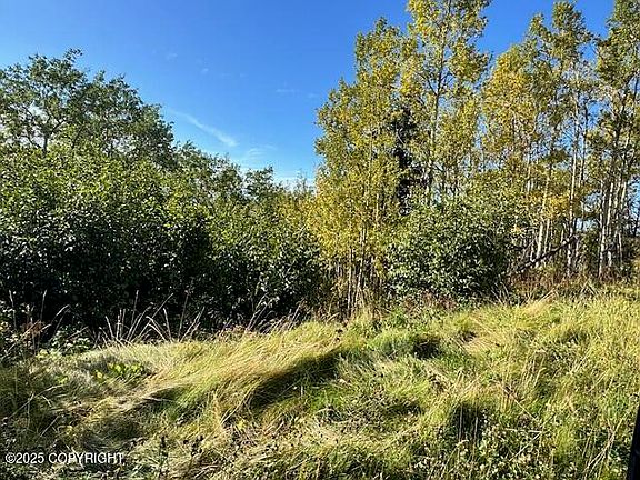 5th image of 0 Potter View Cir