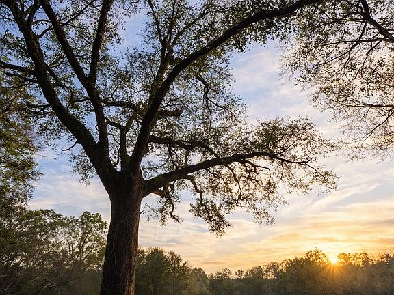 5th image of F Z Goss Rd