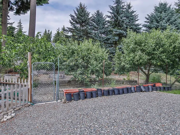 2385 Lake Forest Dr — Photo 37