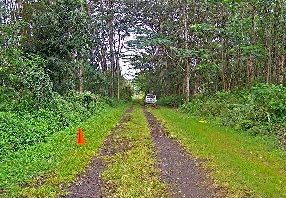  Looking towards Kehau Road from lot 664.