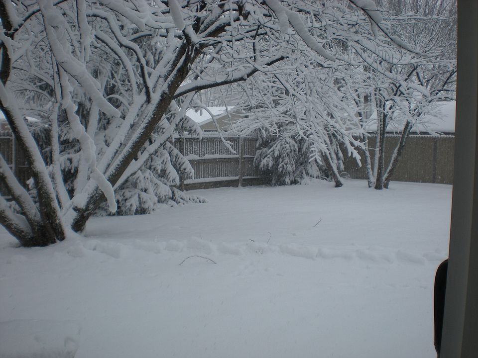 last winter