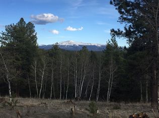 358 Bird Point Rd, Florissant, CO 80816