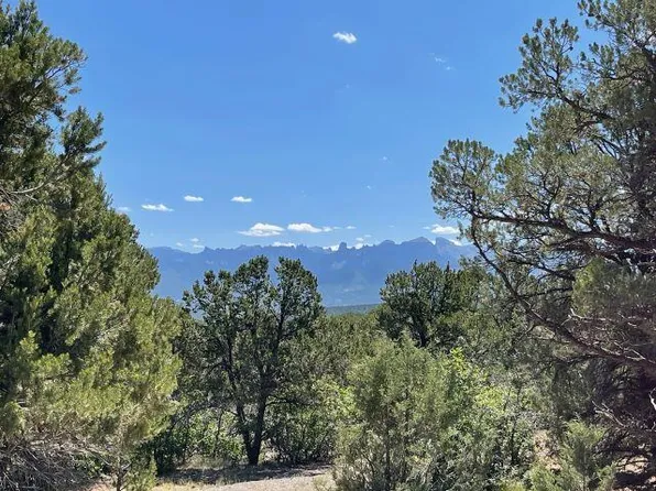 168 Crestwood Dr #3, Ridgway, CO 81432