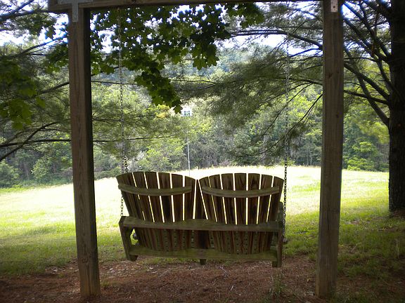 Watching the Purple Martin House